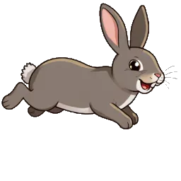 rabbit